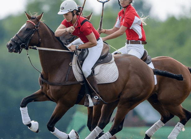 How can one train a horse for polocrosse?