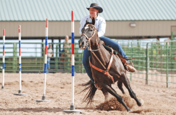 How Can I Teach My Horse Pole Bending?