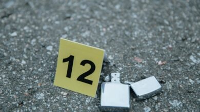 investigate phone number 18444060551