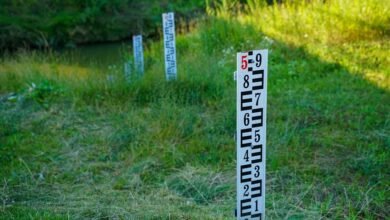 monitor contact flow now