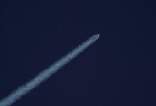 edge 600135203 digital momentum