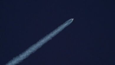 edge 600135203 digital momentum