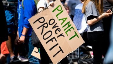 profit stream for business expansion