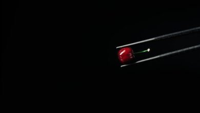 unlock creativity and elevate life