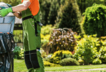 Waste Removal Planning for Landscaping and Outdoor Upgrade Projects